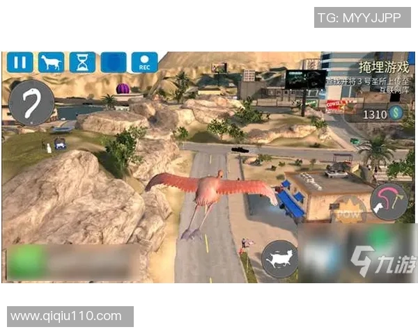 黄磊亲自分享王者荣耀游戏心得与技巧助你提升战斗水平